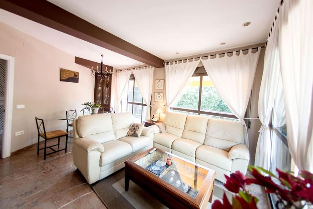 Penthouse!!! Center Of Seville!!! 2 Bedroom + 2 Bath!!! Ngoại thất bức ảnh